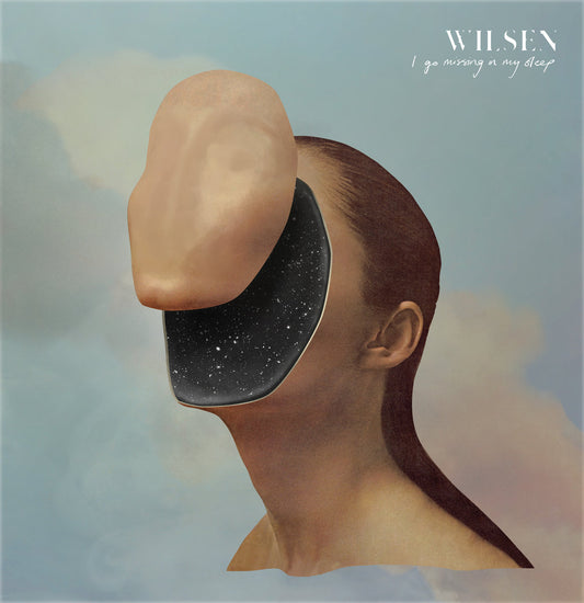 Wilsen 'I Go Missing In My Sleep' CD