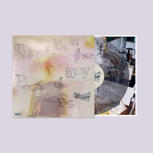 Sloe Noon 'Principles In The Way of Progress' LP - PRE-ORDER - SHIPS JUNE 2026